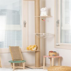 펫띵우주정거장