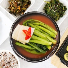 여수 돌산 갓물김치 5kg