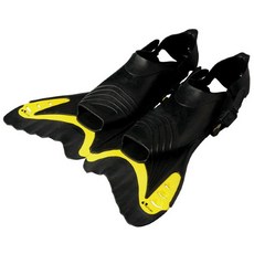 살바스이태리물놀이