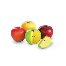 분수교구러닝리소스