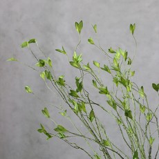 용수염