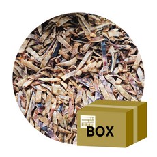 [박스무배] 뚱꽃징어 10kg 바베큐 조미 오징어, 1개