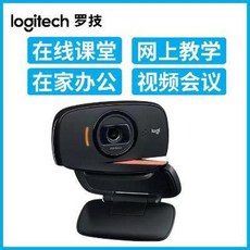 줌 화상 수업 카메라 온라인 컴퓨터 노트북 웹 켐 캡 화상캠 [순풍배송] 로지B52, 02 로지 C525
