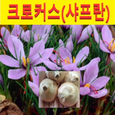 0681294109c67da7435415839e01fa1e78e5dccb439f1c5b09bff1adbc69.png