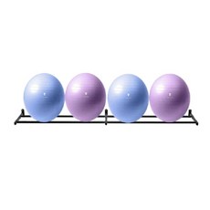  짐볼 거치대 선반 운동볼 벽걸이 정리대 받침대 요가볼 렉 필라테스, F. 블랙 길이550cm 