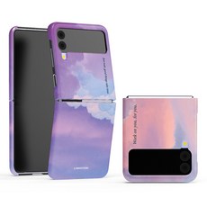 z플립3skt