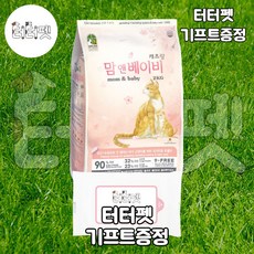골든캣츠한국무용1개월