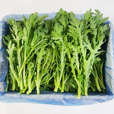 쑥갓 1kg, 단품