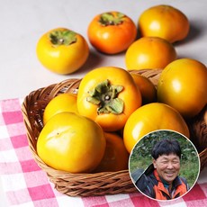 [맛딜]진영단감 가정용[흠과] /중소과 61-80과내외