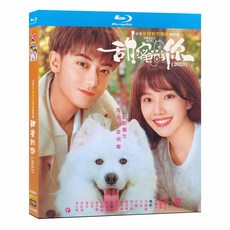 첨밀적니 블루레이 Blu-ray 1-40화 전편 황자도 왕학윤 중드 굿즈