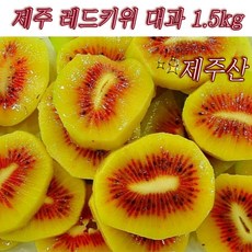 레드키위 홍다래 대과 고당도 제주 직송 20brix, 1개, 1.5kg (20-24과)