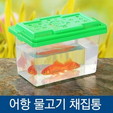 물고기어항곤충채집통