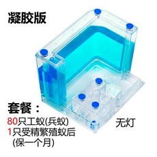 개미집 개미 공방 성 장원 별장 농장 관찰 케이스매우 빅사이즈 포장 2020, T13-E21-블루 램프(85작업+1뒤)번식 버전