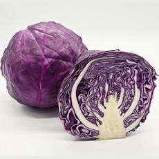 국내산 유기농 적양배추(적채), 2개, 1kg