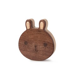 우드치아유치보관함