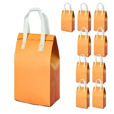 테이크아웃 피크닉 도시락 일회용 보온보냉백, 주황색