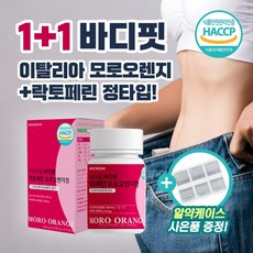 덴마크다이어트