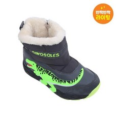 토박스다이노솔즈