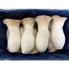 백광농장 국내산 새송이버섯(특) 2kg, 1개