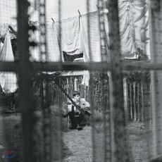 dvd폴매카트니콘서트paulmccartneyconcert