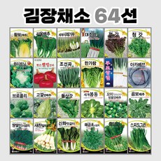 김원일전채요리318