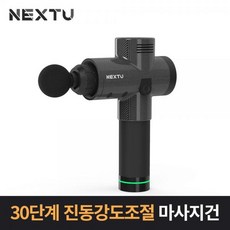 멜튼nx300