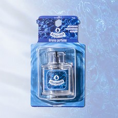 카닉스 송풍구형 걸이형 방향제_아쿠아샤워 퍼퓸 아로마닉스 EW950C62, 1개, 1개