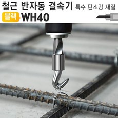반생이
