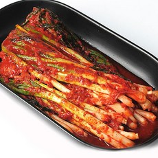파주금김치
