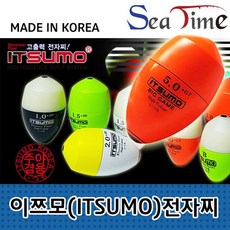 신박전자찌