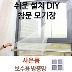 모기홍