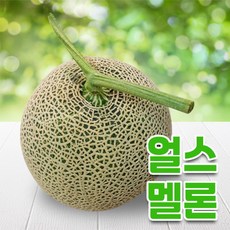 얼스멜론