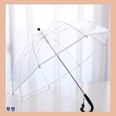두돌아기투명우산