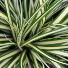 58fd0d7b1048f2c6005ec7d621f55cae66410d91c42c0e3a587ec37fbdb1.png