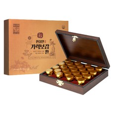 한삼인 기력보감환 3.75g x 25환(25일분) 1세트+쇼핑백증정, 단품