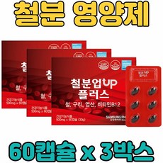비 헴 철 분 철분제 구리 엽산 비타민 B12 멀티 복합 혼합 기능성 캡슐 영양제 보충제 보조제 온 우리 가족 전연령 남녀노소 중년 장년 노년 층 부모님 현대인 직장인, 3박스, 60캡슐