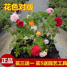 d0f1c67adc7a689827c4d31a504253866e9398ccdf87c9e7c434147a892a.jpg