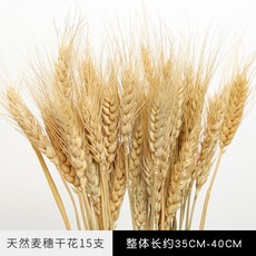 cdc95fdd38bf0002975cfc895039c552b45c19e29bd91a75843ec868ed84.jpg