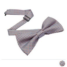 남자어린이보타이