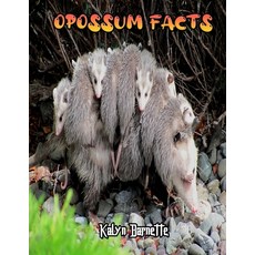 Opossum Facts: OPOSSUM fact for girl age 1-10 OPOSSUM fact for boy age 1-10 facts about all about OP... Paperback, Independently Published, English, 9798557395342