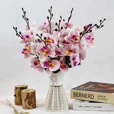 에스그루드라이왁스