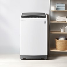 LG 통돌이 세탁기 10kg TR10WL 화이트 버튼 조작