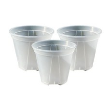 앙플랜트 숨쉬는 슬릿화분, 투명, 3개 투명, 21호, 3개