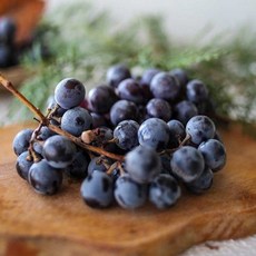 달님식품 산지직송 캠벨 포도 grape, 1개, 캠벨 포도 2kg (4-10수) - 수노기