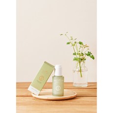 뷰티윈도비비크림