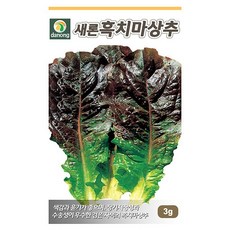 정직한형제들세탁기