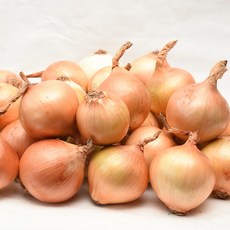 onion5kg