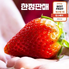 프리미엄 킹스베리 대왕딸기 1%극상품 한정판매, 400g (특), 1개