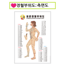 피지오나뚜라