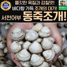 서해안 동죽조개 1kg, 1개